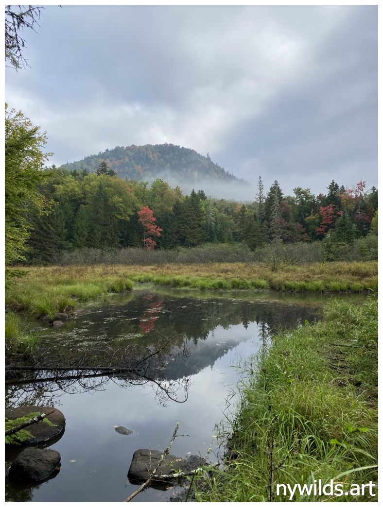 Backpacking Siamese Ponds