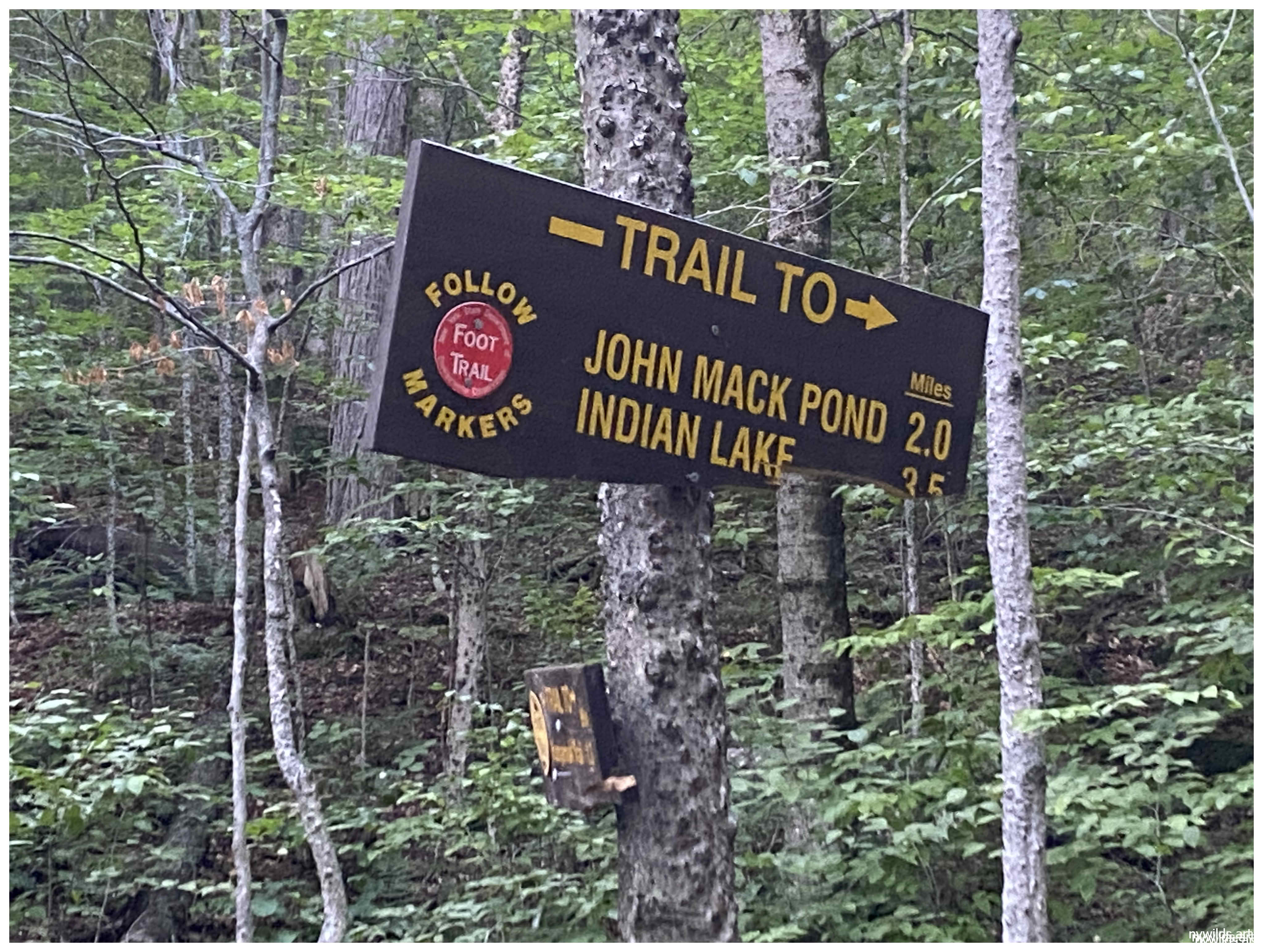 End of the Road - Speculator, NY