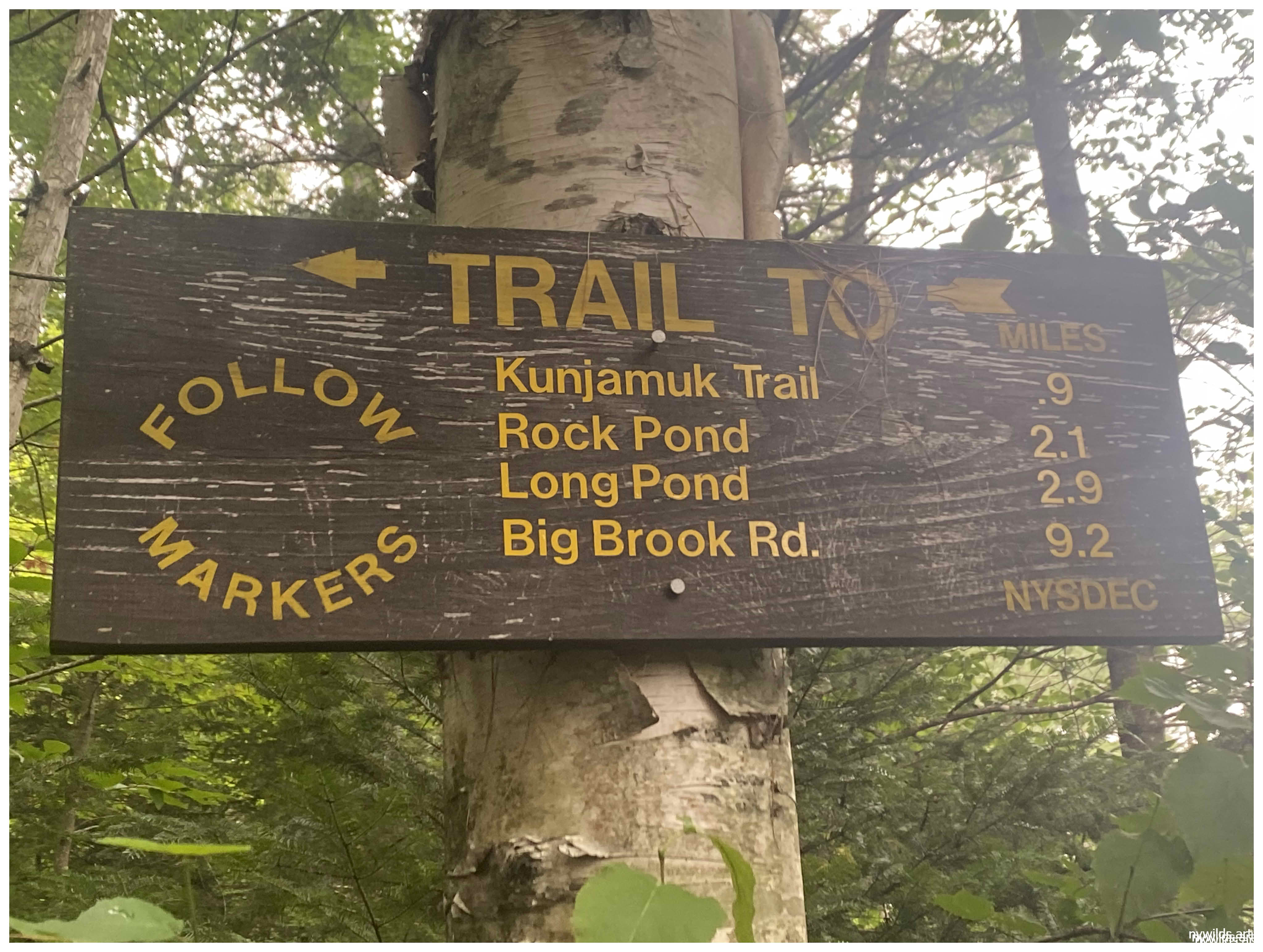 End of the Road - Speculator, NY