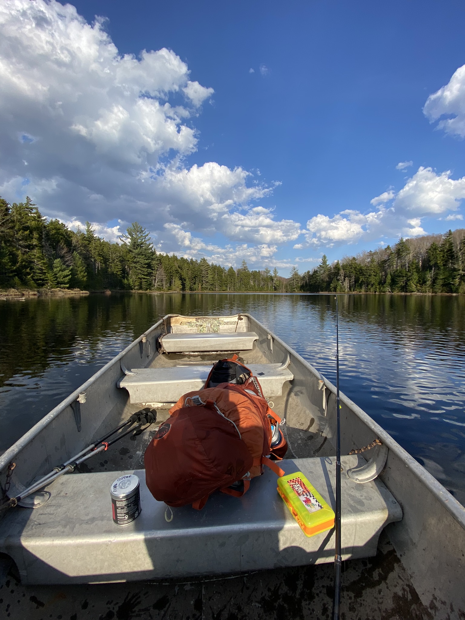 Mountain Pond Reborn