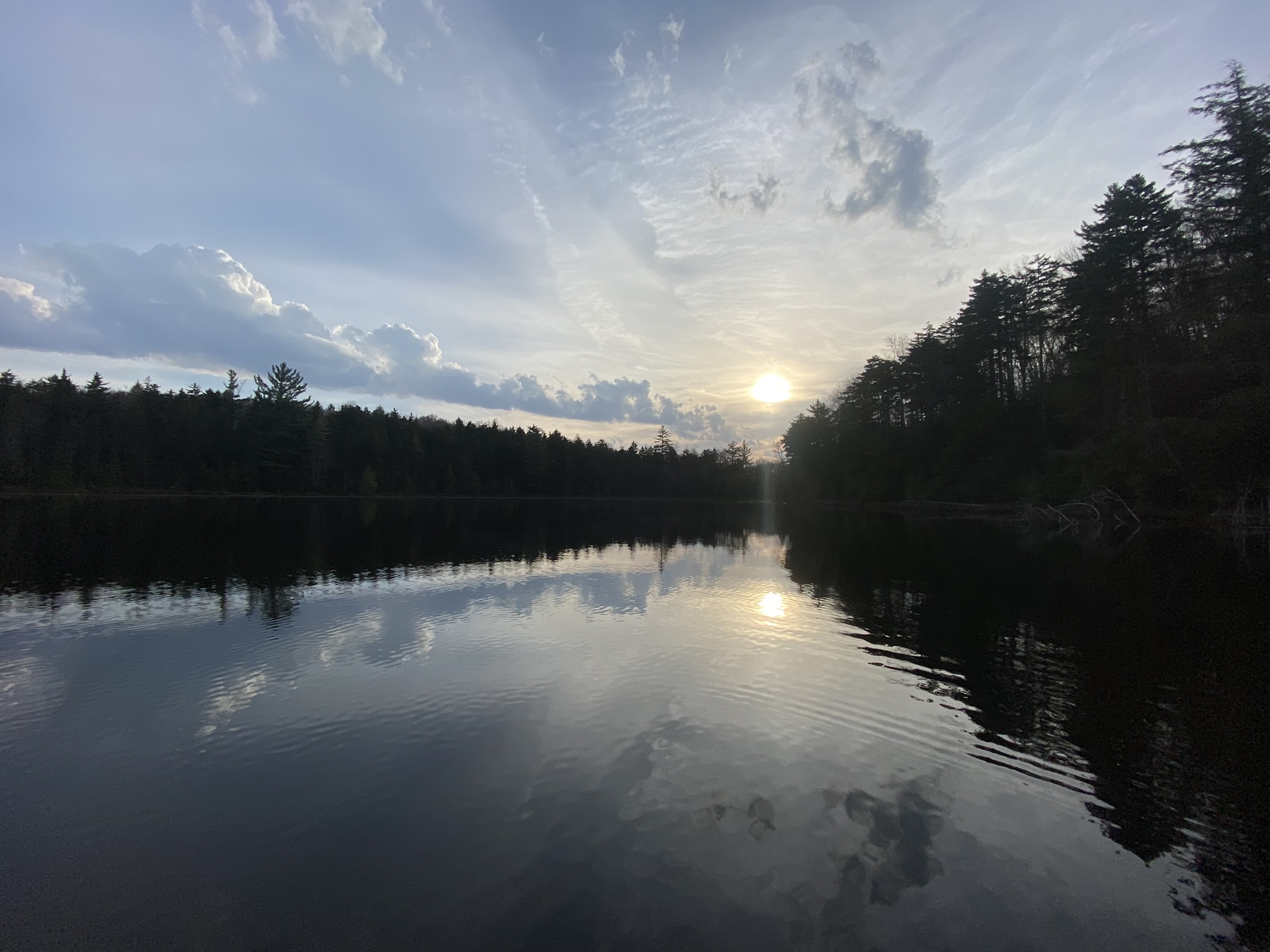 Mountain Pond Reborn