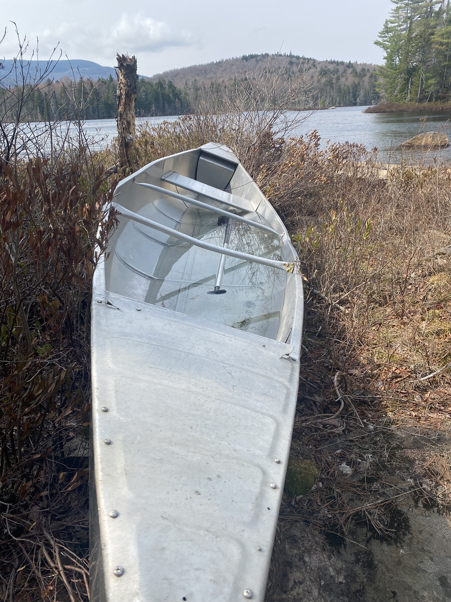 Mountain Pond Reborn