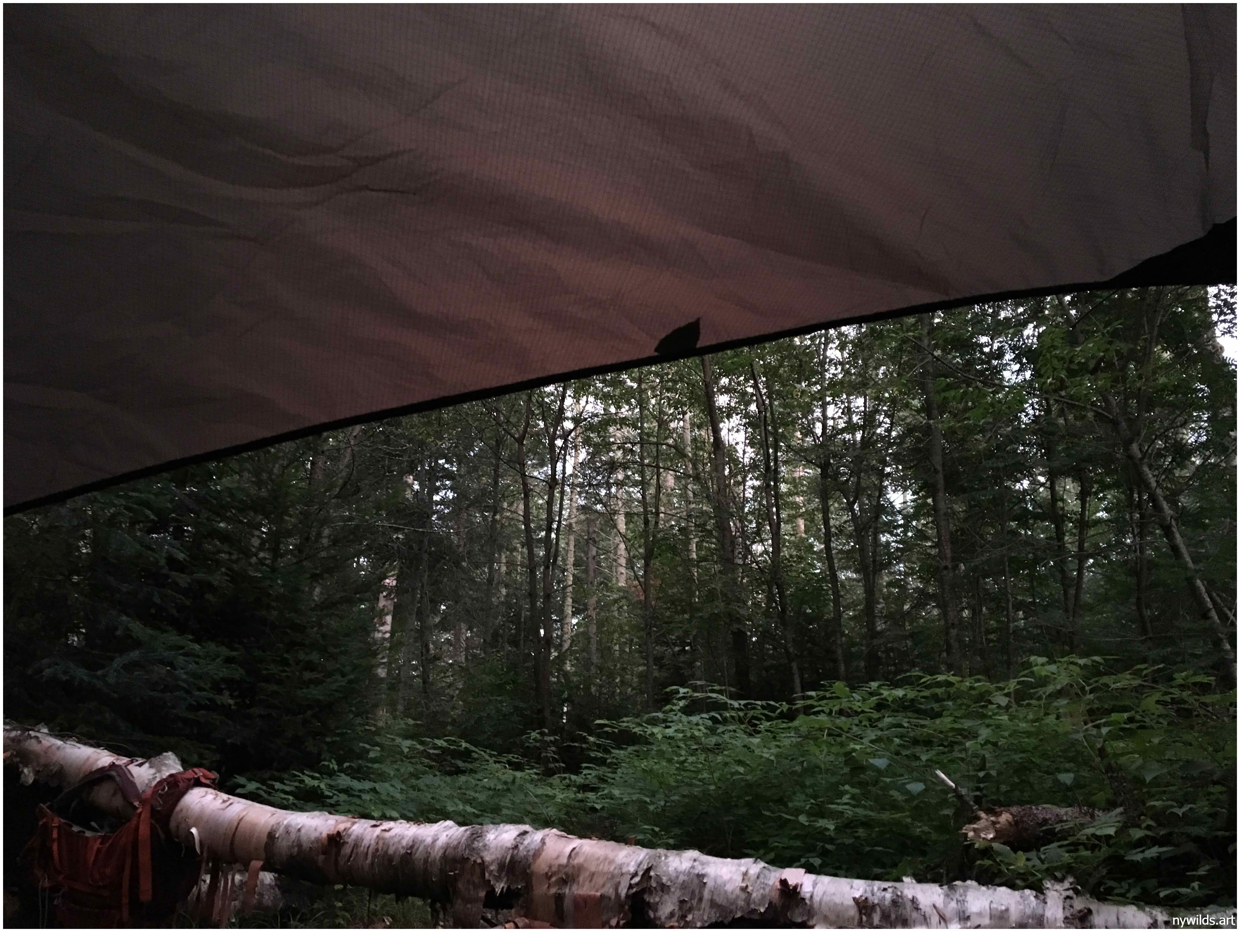 Hammock view at day’s end.