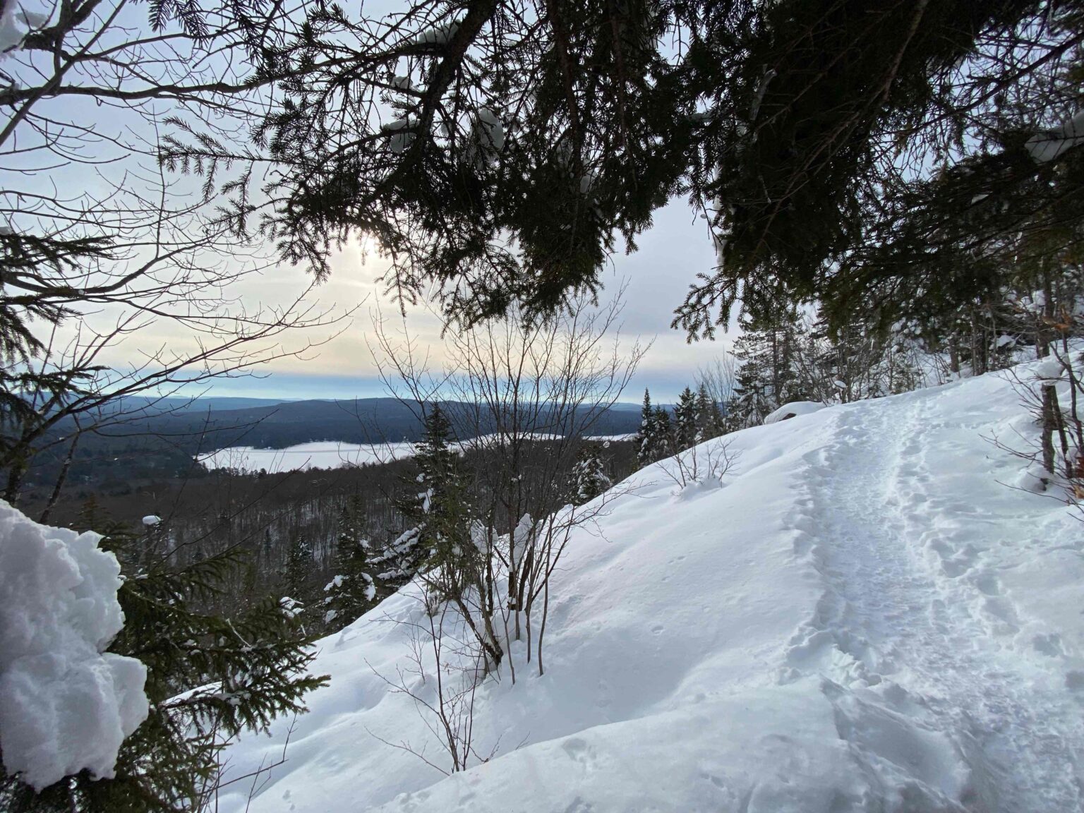 Bald Mountain Reveal (Again)