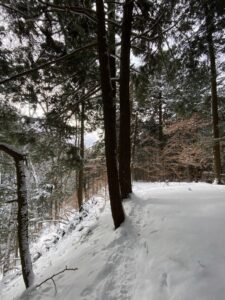 Exploring Morgan Hill: A Winter Hike Adventure