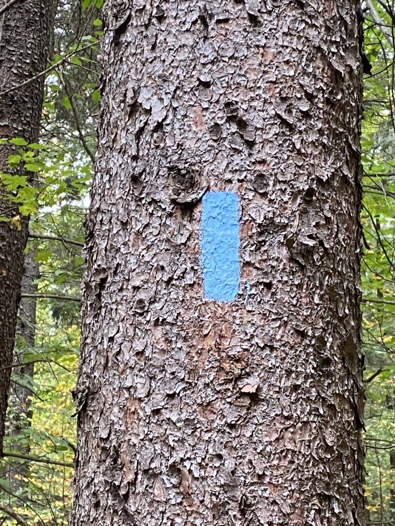 Exploring Morgan Hill: A Winter Hike Adventure